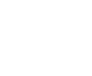 Alter Immo Prestige